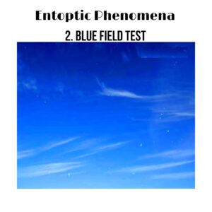 Blue-field